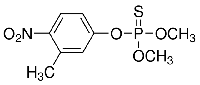 乙腈中殺螟硫磷溶液，100μg/mL